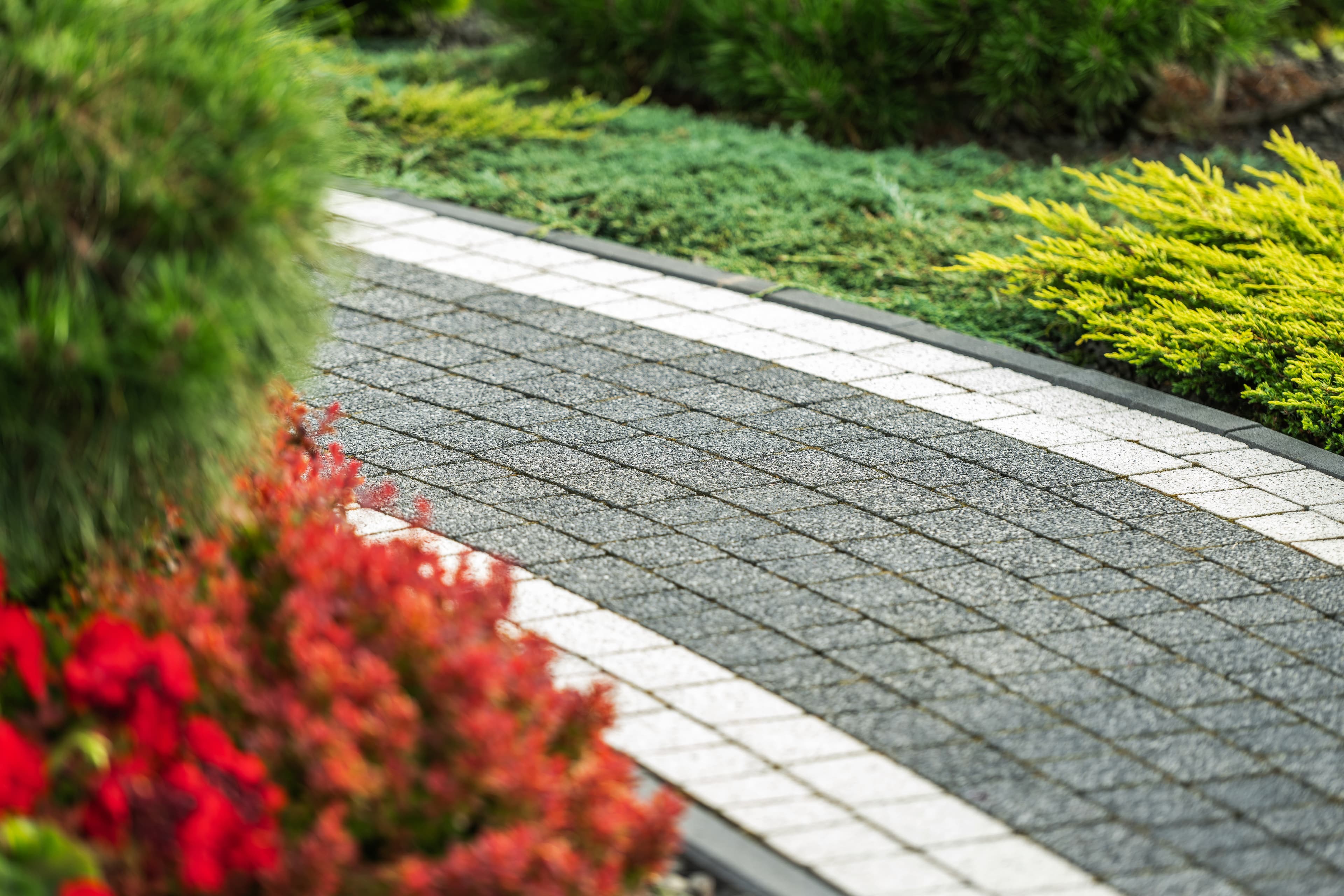 Block-paved driveway after pressure washing