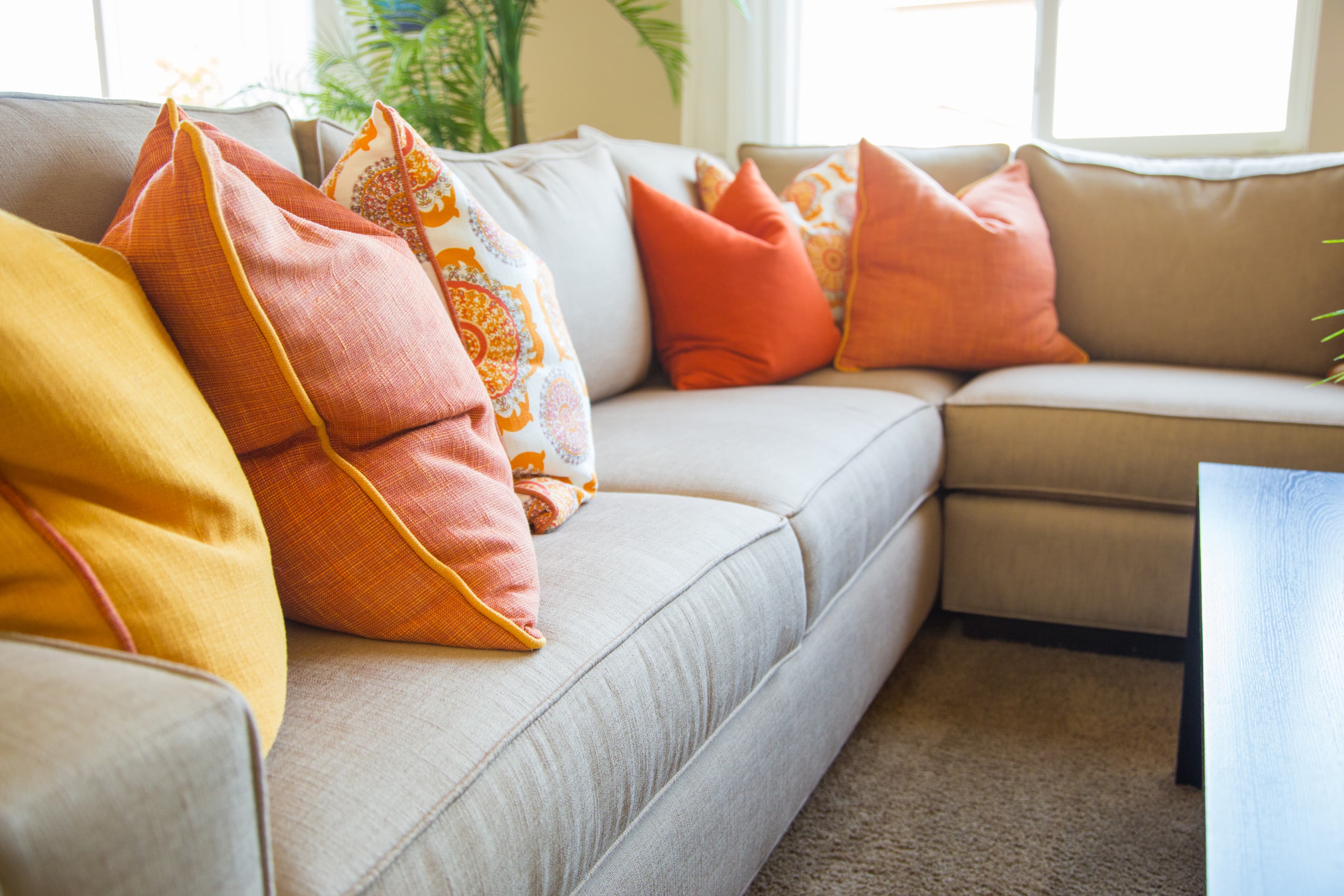 Fabric sofa after upholstery cleaning